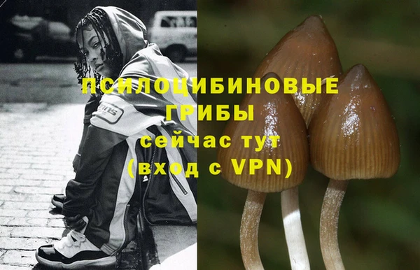 бошки Алзамай