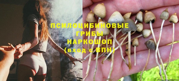 бошки Алзамай