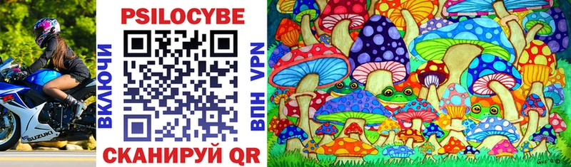 Псилоцибиновые грибы Cubensis  мориарти Telegram  Конаково  сколько стоит 